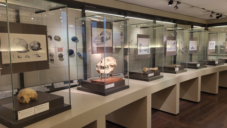 Vue d'une salle du département d'archéologie du Grand Curtius - Copyright Ville de Liège - Grand Curtius